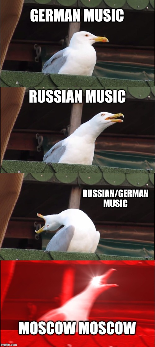 Inhaling Seagull | GERMAN MUSIC; RUSSIAN MUSIC; RUSSIAN/GERMAN MUSIC; MOSCOW MOSCOW | image tagged in memes,inhaling seagull | made w/ Imgflip meme maker