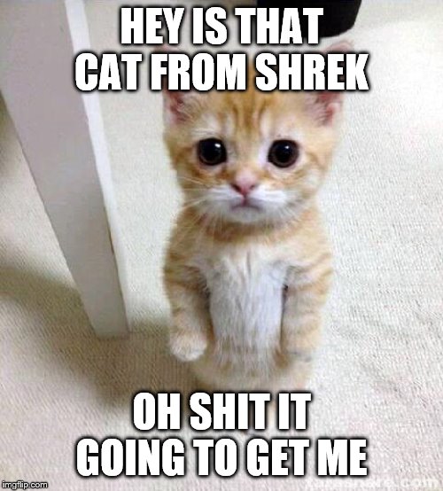 Shrek Cat Meme Generator - Imgflip