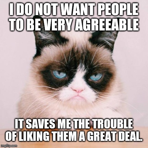 Have A Great Monday! | I DO NOT WANT PEOPLE TO BE VERY AGREEABLE; IT SAVES ME THE TROUBLE OF LIKING THEM A GREAT DEAL. | image tagged in memes,grumpy cat,grumpy cat again | made w/ Imgflip meme maker
