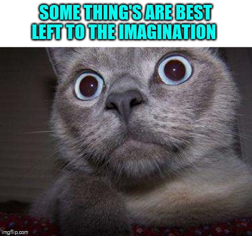 Freaky eye cat | SOME THING'S ARE BEST LEFT TO THE IMAGINATION | image tagged in freaky eye cat | made w/ Imgflip meme maker