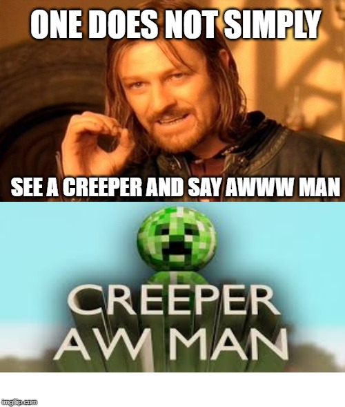 One Does Not Simply Meme | ONE DOES NOT SIMPLY; SEE A CREEPER AND SAY AWWW MAN | image tagged in memes,one does not simply | made w/ Imgflip meme maker