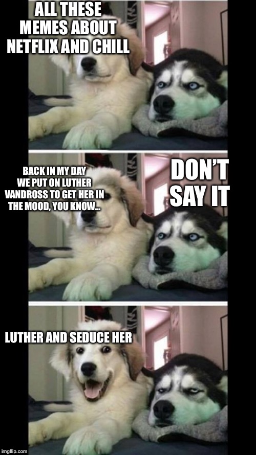 Two dogs bad joke | ALL THESE MEMES ABOUT NETFLIX AND CHILL; BACK IN MY DAY WE PUT ON LUTHER VANDROSS TO GET HER IN THE MOOD, YOU KNOW... DON’T SAY IT; LUTHER AND SEDUCE HER | image tagged in two dogs bad joke | made w/ Imgflip meme maker