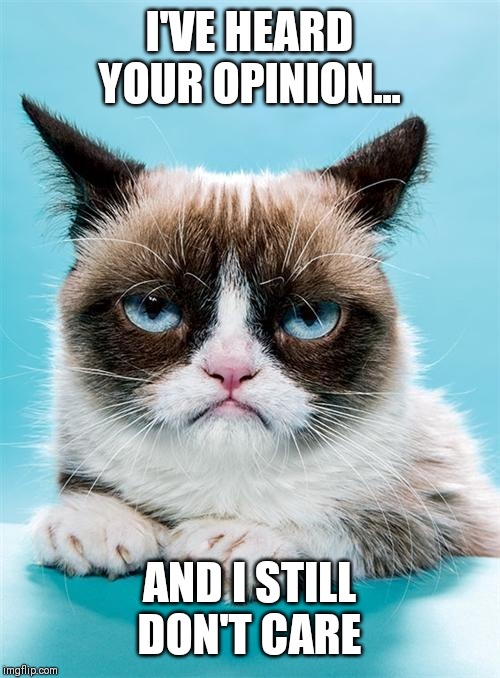 My Opinion Is Right | I'VE HEARD YOUR OPINION... AND I STILL DON'T CARE | image tagged in memes,grumpy cat | made w/ Imgflip meme maker