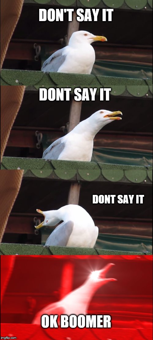 Inhaling Seagull | DON'T SAY IT; DONT SAY IT; DONT SAY IT; OK BOOMER | image tagged in memes,inhaling seagull | made w/ Imgflip meme maker