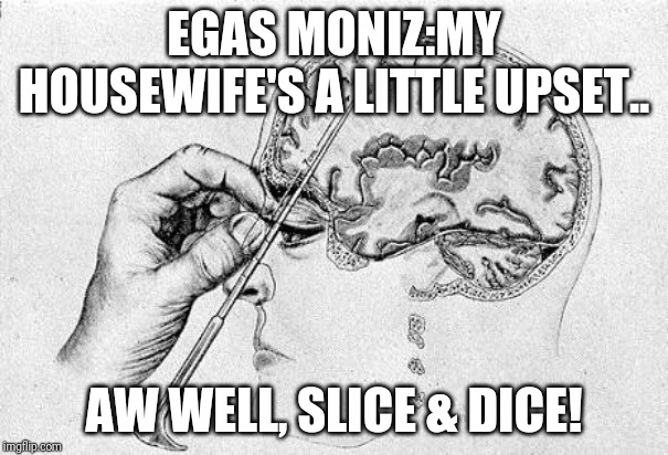 Lobotomy  | EGAS MONIZ:MY HOUSEWIFE'S A LITTLE UPSET.. AW WELL, SLICE & DICE! | image tagged in lobotomy | made w/ Imgflip meme maker