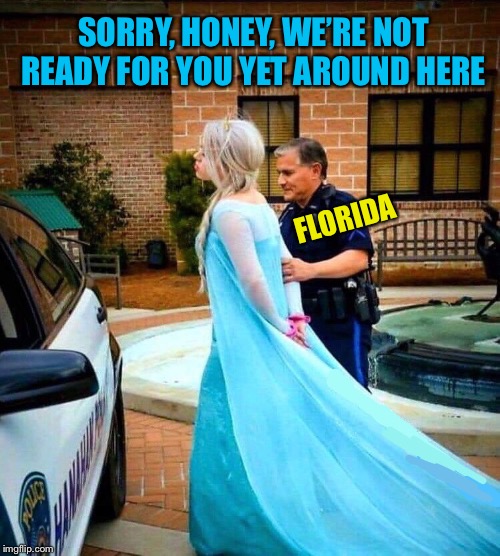 Let it go |  SORRY, HONEY, WE’RE NOT READY FOR YOU YET AROUND HERE; FLORIDA | image tagged in florida,cop,arrest,frozen elsa,winter,disney | made w/ Imgflip meme maker