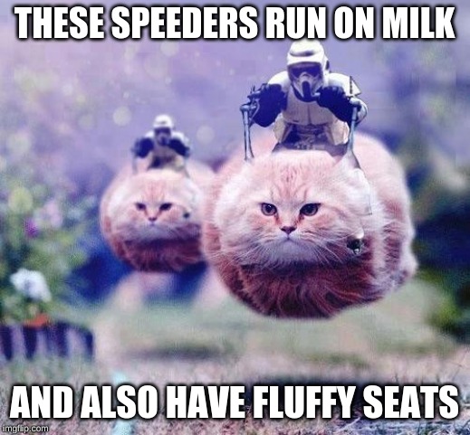 Storm Trooper Cats | THESE SPEEDERS RUN ON MILK; AND ALSO HAVE FLUFFY SEATS | image tagged in storm trooper cats | made w/ Imgflip meme maker