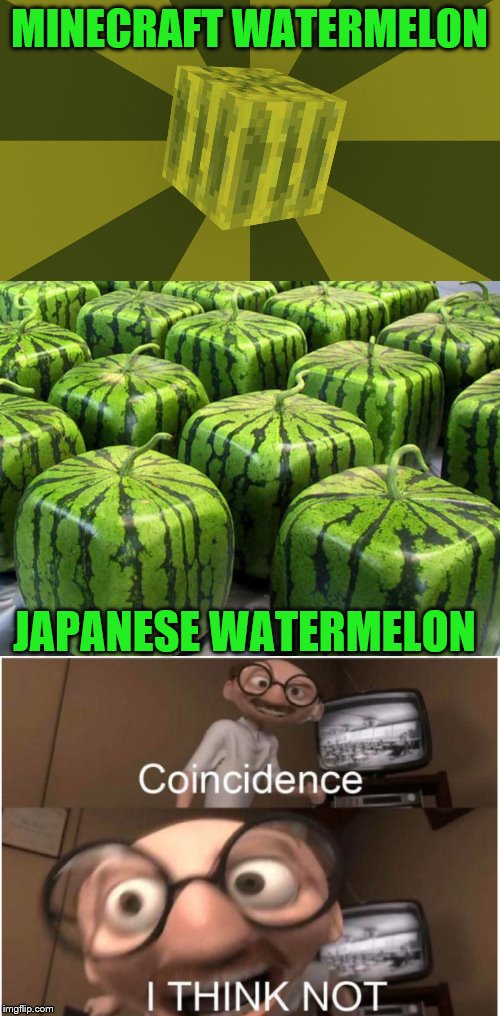 MINECRAFT WATERMELON JAPANESE WATERMELON | image tagged in coincidence i think not | made w/ Imgflip meme maker