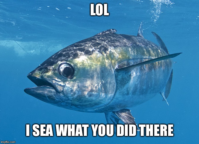 Tuna fish | LOL I SEA WHAT YOU DID THERE | image tagged in tuna fish | made w/ Imgflip meme maker