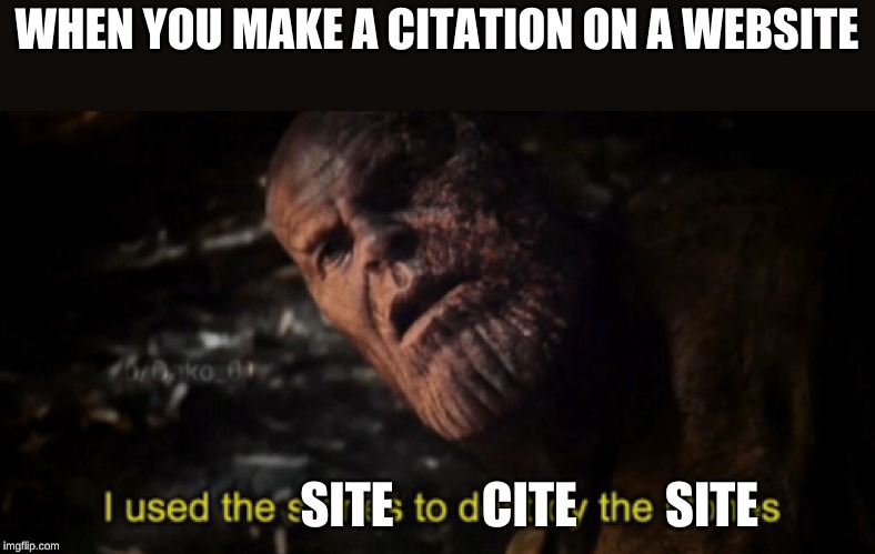 I used the stones to destroy the stones | WHEN YOU MAKE A CITATION ON A WEBSITE; SITE         CITE         SITE | image tagged in i used the stones to destroy the stones,memes,thanos,endgame,avengers endgame | made w/ Imgflip meme maker