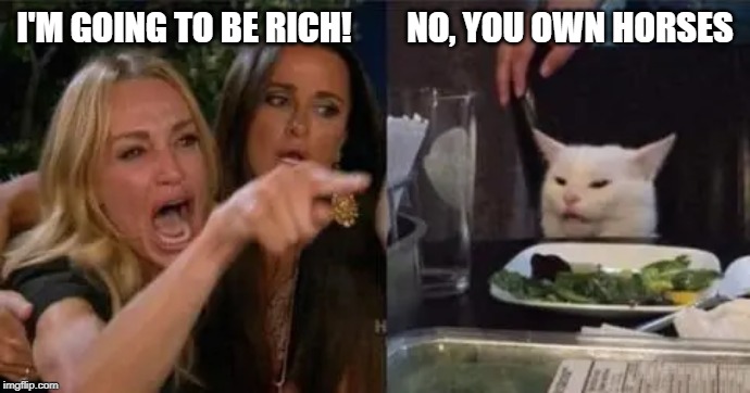 I'M GOING TO BE RICH!        NO, YOU OWN HORSES | image tagged in white cat meme | made w/ Imgflip meme maker