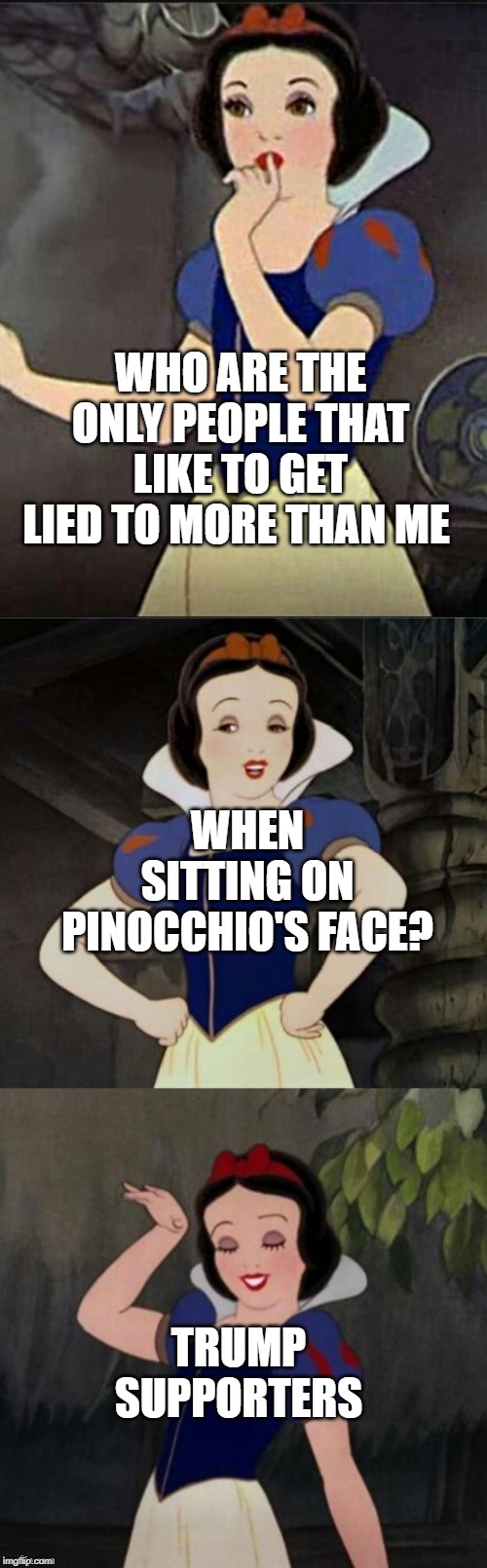 Snow White joke template | WHO ARE THE ONLY PEOPLE THAT LIKE TO GET LIED TO MORE THAN ME; WHEN SITTING ON PINOCCHIO'S FACE? TRUMP SUPPORTERS | image tagged in snow white joke template | made w/ Imgflip meme maker