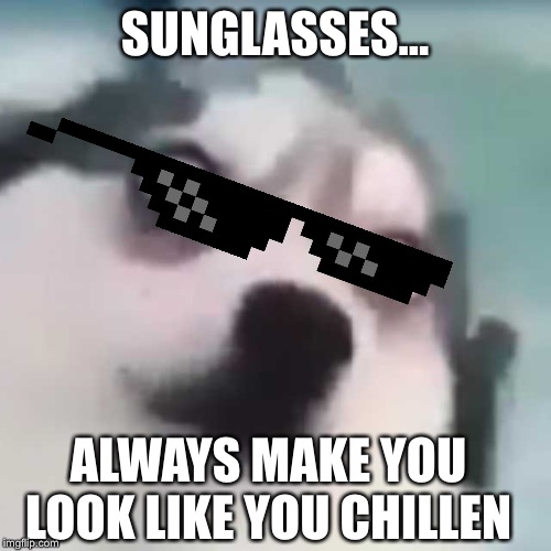 SUNGLASSES... ALWAYS MAKE YOU LOOK LIKE YOU CHILLEN | made w/ Imgflip meme maker