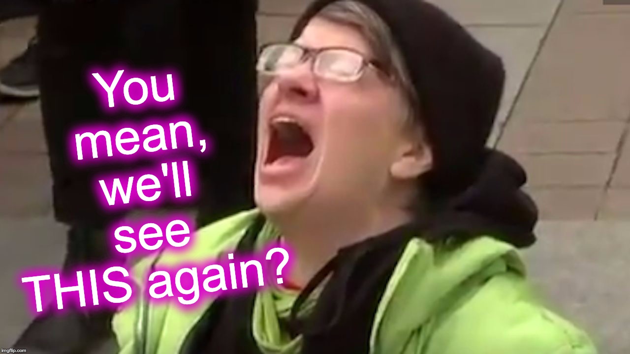 Screaming Liberal  | You mean, we'll see THIS again? | image tagged in screaming liberal | made w/ Imgflip meme maker