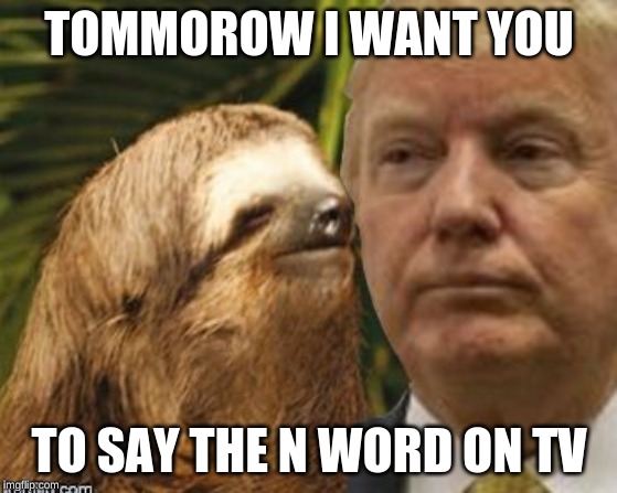 Political advice sloth |  TOMMOROW I WANT YOU; TO SAY THE N WORD ON TV | image tagged in political advice sloth | made w/ Imgflip meme maker