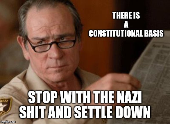 Tommy Lee Jones | THERE IS A CONSTITUTIONAL BASIS STOP WITH THE NAZI SHIT AND SETTLE DOWN | image tagged in tommy lee jones | made w/ Imgflip meme maker
