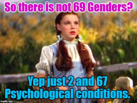 69 Genders | So there is not 69 Genders? YARRA MAN; Yep just 2 and 67 Psychological conditions. | image tagged in 69 genders | made w/ Imgflip meme maker