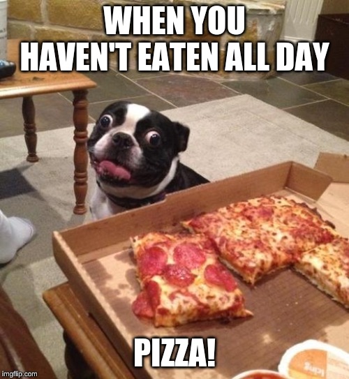 Hungry Pizza Dog | WHEN YOU HAVEN'T EATEN ALL DAY; PIZZA! | image tagged in hungry pizza dog | made w/ Imgflip meme maker