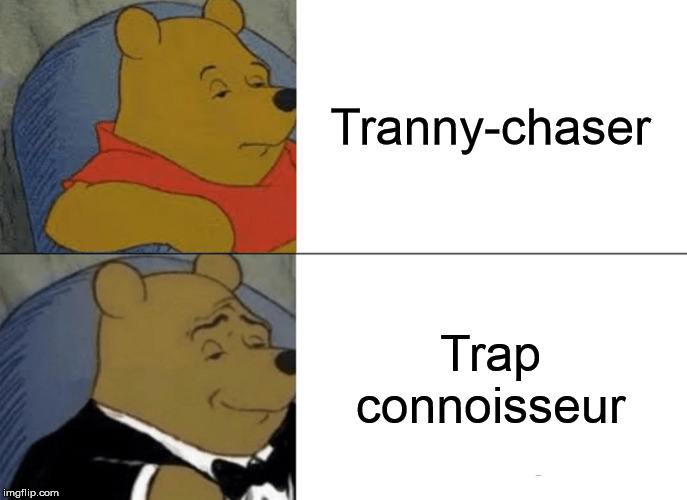 Tuxedo Winnie The Pooh Meme | Tranny-chaser; Trap connoisseur | image tagged in memes,tuxedo winnie the pooh,trap,transgender | made w/ Imgflip meme maker