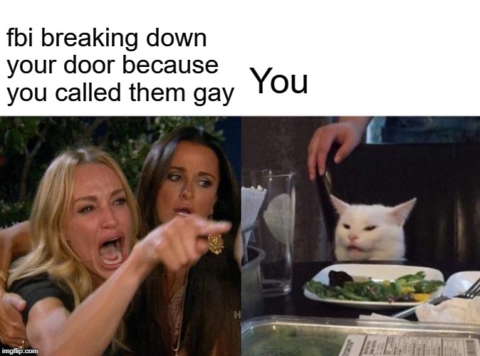 Woman Yelling At Cat Meme | fbi breaking down your door because you called them gay You | image tagged in memes,woman yelling at cat | made w/ Imgflip meme maker