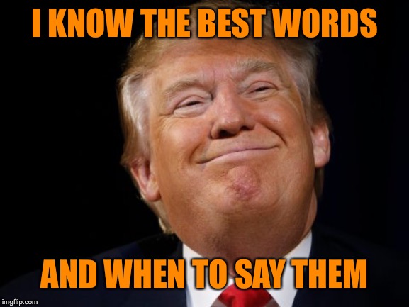 Trump smug | I KNOW THE BEST WORDS AND WHEN TO SAY THEM | image tagged in trump smug | made w/ Imgflip meme maker
