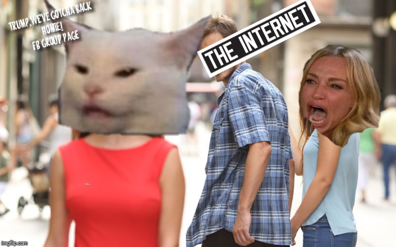 The Internet Loves Smudge The White Cat | image tagged in the real housewives of beverly hills,taylor armstrong,distracted boyfriend,smudge the cat,woman yelling at cat,screaming | made w/ Imgflip meme maker
