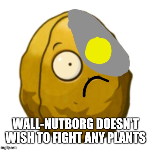 Wall-nut | WALL-NUTBORG DOESN'T WISH TO FIGHT ANY PLANTS | image tagged in wall-nut | made w/ Imgflip meme maker
