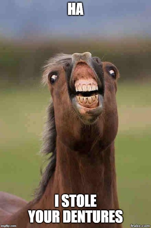 horse face | HA; I STOLE YOUR DENTURES | image tagged in horse face | made w/ Imgflip meme maker