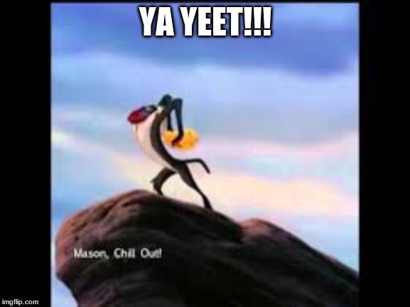 lion king to the max | YA YEET!!! | image tagged in lion king,yeet | made w/ Imgflip meme maker