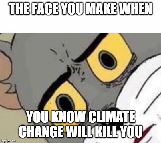 Tom Cat Unsettled Close up | THE FACE YOU MAKE WHEN; YOU KNOW CLIMATE CHANGE WILL KILL YOU | image tagged in tom cat unsettled close up | made w/ Imgflip meme maker