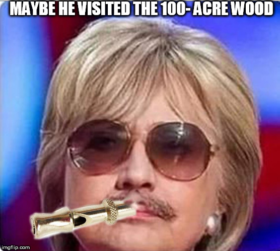 MAYBE HE VISITED THE 100- ACRE WOOD | made w/ Imgflip meme maker