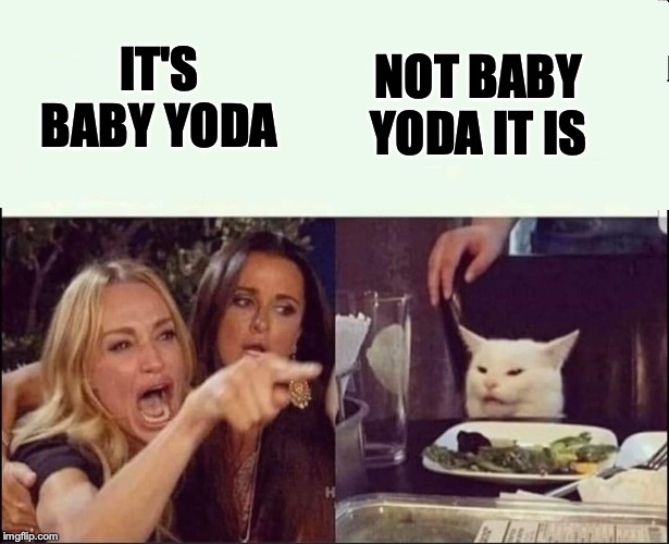 not baby yoda | NOT BABY YODA IT IS; IT'S BABY YODA | image tagged in yoda,white cat table | made w/ Imgflip meme maker
