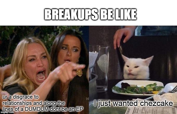 Woman Yelling At Cat Meme | BREAKUPS BE LIKE; ur a disgrace to relationships and along the lines of a DUMDUM dont be an EP; I just wanted chezcake | image tagged in memes,woman yelling at cat | made w/ Imgflip meme maker