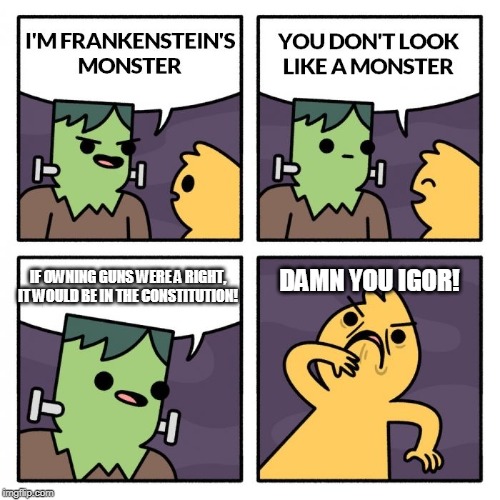 Frankenstien's Monster | IF OWNING GUNS WERE A RIGHT, IT WOULD BE IN THE CONSTITUTION! DAMN YOU IGOR! | image tagged in frankenstien's monster | made w/ Imgflip meme maker
