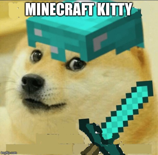 Minecraft Doge |  MINECRAFT KITTY | image tagged in minecraft doge | made w/ Imgflip meme maker