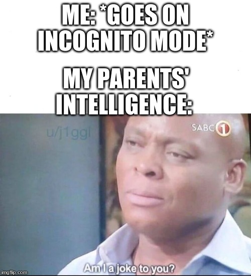 am I a joke to you | ME: *GOES ON INCOGNITO MODE*; MY PARENTS' INTELLIGENCE: | image tagged in am i a joke to you | made w/ Imgflip meme maker