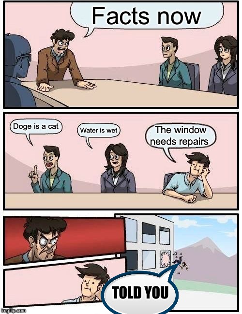 Boardroom Meeting Suggestion |  Facts now; Doge is a cat; Water is wet; The window needs repairs; TOLD YOU | image tagged in memes,boardroom meeting suggestion | made w/ Imgflip meme maker