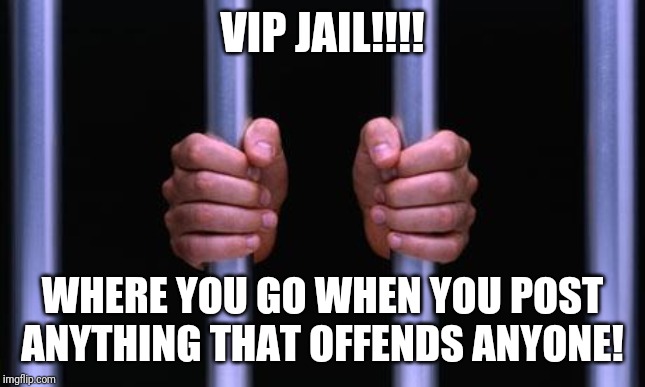 Prison Bars | VIP JAIL!!!! WHERE YOU GO WHEN YOU POST ANYTHING THAT OFFENDS ANYONE! | image tagged in prison bars | made w/ Imgflip meme maker