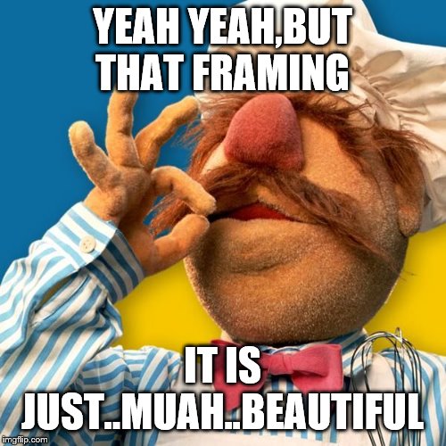 Swedish Chef | YEAH YEAH,BUT THAT FRAMING IT IS JUST..MUAH..BEAUTIFUL | image tagged in swedish chef | made w/ Imgflip meme maker