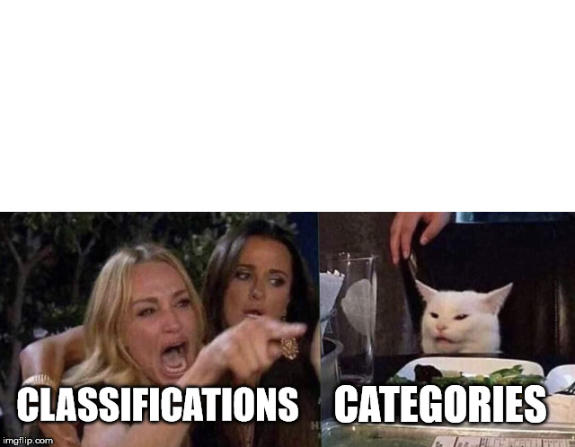 Women yelling at cat | CATEGORIES; CLASSIFICATIONS | image tagged in women yelling at cat | made w/ Imgflip meme maker