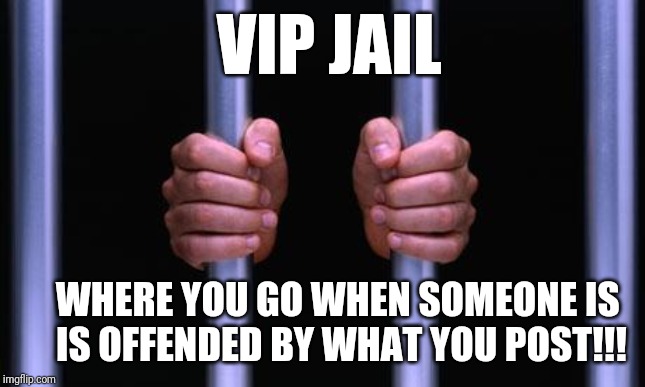 Prison Bars | VIP JAIL; WHERE YOU GO WHEN SOMEONE IS
     IS OFFENDED BY WHAT YOU POST!!! | image tagged in prison bars | made w/ Imgflip meme maker