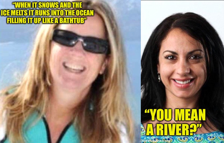 PHD VS Common Sense | “WHEN IT SNOWS AND THE ICE MELTS IT RUNS INTO THE OCEAN FILLING IT UP LIKE A BATHTUB”; “YOU MEAN A RIVER?” | image tagged in climate clang,phd,common sense,college liberal,bad memes,funny memes | made w/ Imgflip meme maker