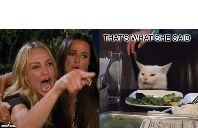 Woman Yelling At Cat | THAT'S WHAT SHE SAID | image tagged in memes,woman yelling at cat | made w/ Imgflip meme maker