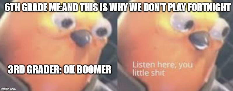 Listen here you little shit bird | 6TH GRADE ME:AND THIS IS WHY WE DON'T PLAY FORTNIGHT; 3RD GRADER: OK BOOMER | image tagged in memes,listen here you little shit bird | made w/ Imgflip meme maker
