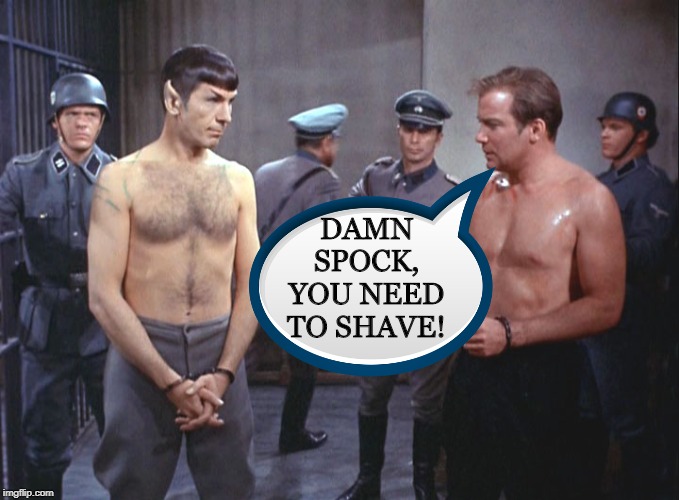 Hairy Vulcan | DAMN SPOCK, YOU NEED TO SHAVE! | image tagged in star trek | made w/ Imgflip meme maker