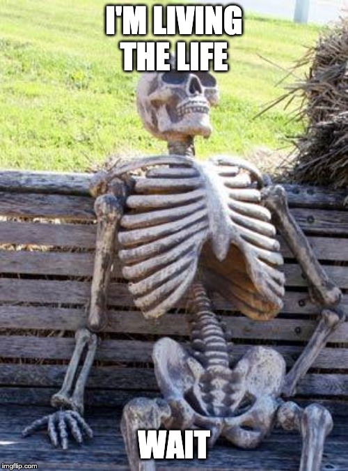Waiting Skeleton Meme |  I'M LIVING THE LIFE; WAIT | image tagged in memes,waiting skeleton | made w/ Imgflip meme maker
