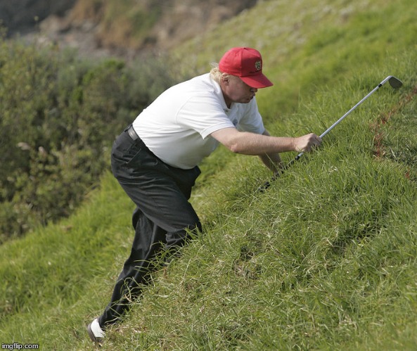 trump golfing | image tagged in trump golfing | made w/ Imgflip meme maker