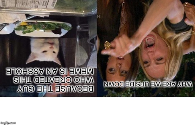 Woman Yelling At Cat | BECAUSE THE GUY WHO CREATED THIS MEME IS AN ASSHOLE; WHY ARE WE UPSIDE DOWN | image tagged in memes,woman yelling at cat | made w/ Imgflip meme maker