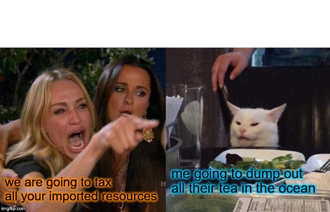 Woman Yelling At Cat Meme | me going to dump out all their tea in the ocean; we are going to tax all your imported resources | image tagged in memes,woman yelling at cat | made w/ Imgflip meme maker