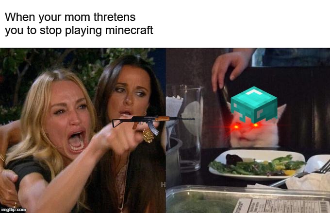Woman Yelling At Cat Meme | When your mom thretens you to stop playing minecraft | image tagged in memes,woman yelling at cat | made w/ Imgflip meme maker